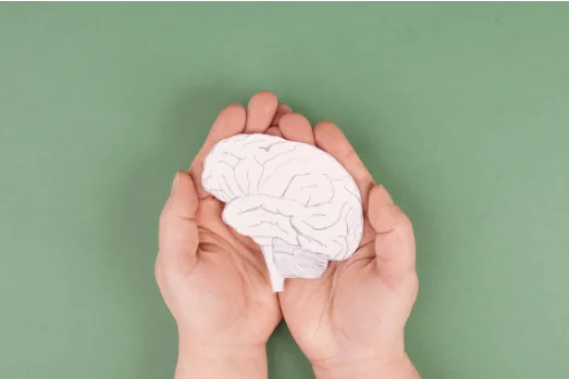 Hands cupping a paper model of a brain