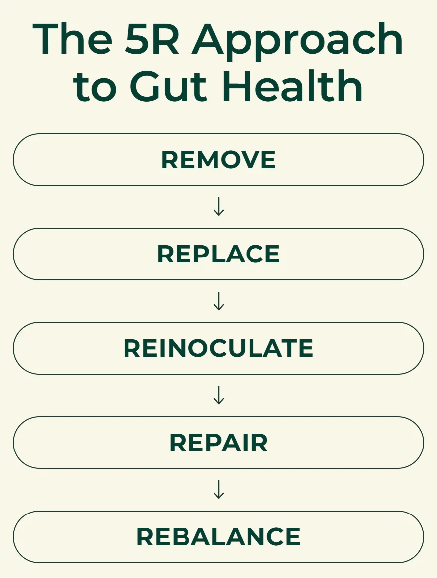 Chart of the five steps of the 5R approach to gut health: remove, replace, reinoculate, repair, rebalance