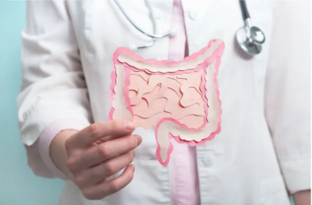 Clinician holding a paper cutout of the intestines